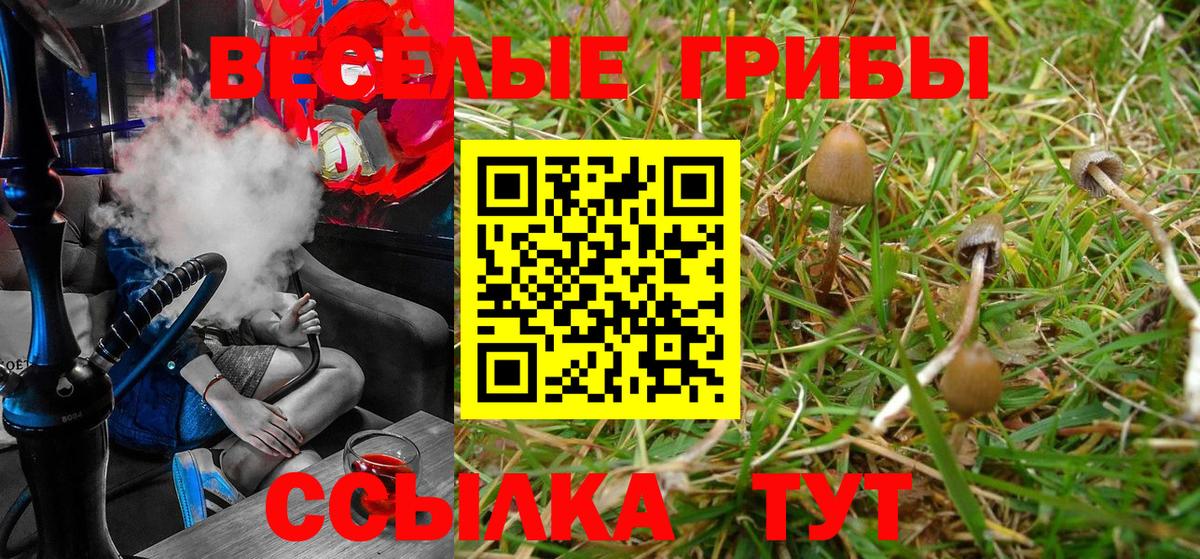 Псилоцибиновые грибы Psilocybine cubensis  Псилоцибиновые грибы мицелий  Вход с VPN  Бор 